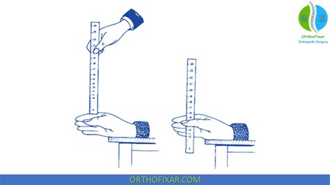 ruler drop test calculation|ruler drop test diagram.